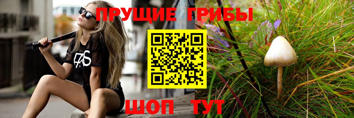 Щёлково  Псилоцибиновые грибы GOLDEN TEACHER  Вход с VPN 