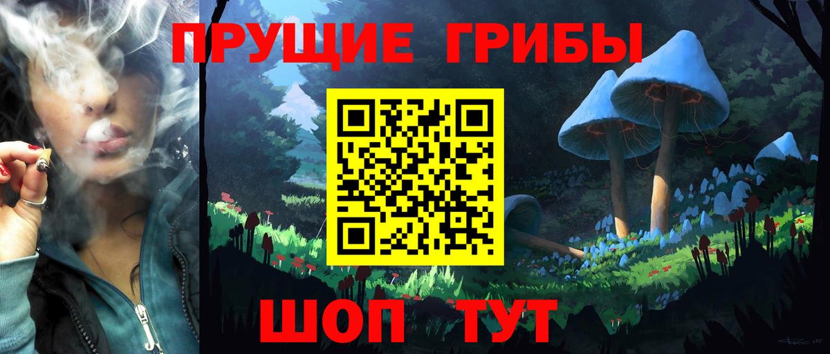 Галлюциногенные грибы Magic Shrooms Щёлково